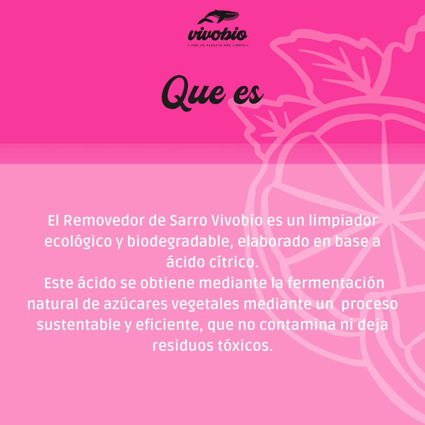 Removedor de Sarro Ecológico VivoBio 400 gr (Acido Cítrico)